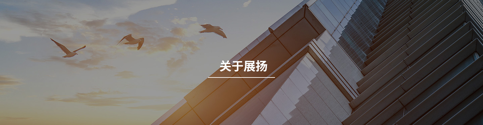 公司简介